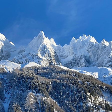 Chamonix Superbe Appartement Vue Mont Blanc 외부 사진