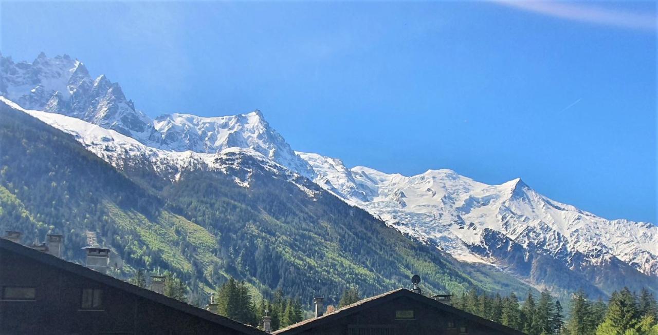 Chamonix Superbe Appartement Vue Mont Blanc 외부 사진
