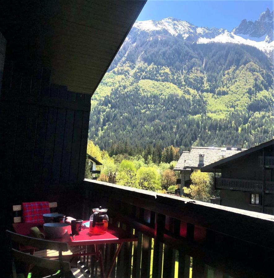 Chamonix Superbe Appartement Vue Mont Blanc 외부 사진