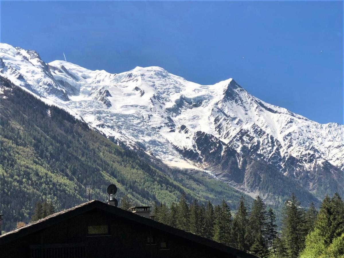 Chamonix Superbe Appartement Vue Mont Blanc 외부 사진